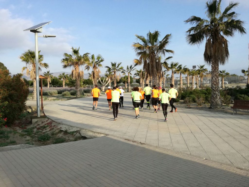 ciclo 10-6